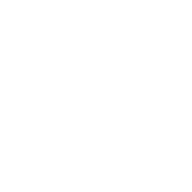 ico automotriz